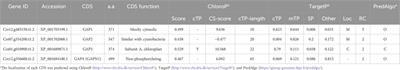 Increasing lipid production in Chlamydomonas reinhardtii through genetic introduction for the overexpression of glyceraldehyde-3-phosphate dehydrogenase